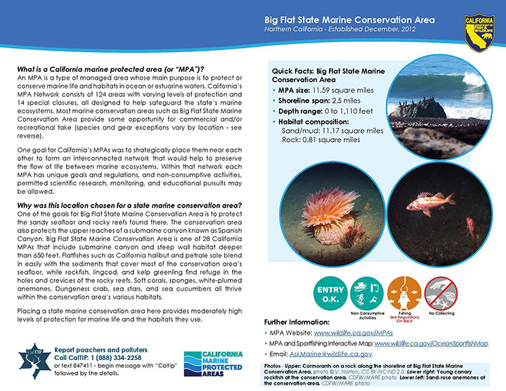 MPA fact sheet - click to enlarge in new window